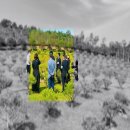 근로복지공단 대전병원 장례식장 | 근로복지공단대전병원장례식장 빈소 걱정을 덜어줄 서비스항목