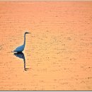 석양풍경 이미지