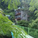 소백산 깊은산속 옹달샘 펜션 이미지