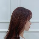 로맨틱브라운
