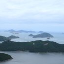 행금도 Daum카페