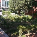 서울개봉초등학교 이미지