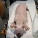 고색동 36-7 이미지