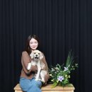 마미모