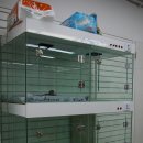 개밥주는고양이 이미지