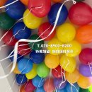 제주영락유치원 | 제주도 헬륨풍선 단체 주문 피크닉메이트