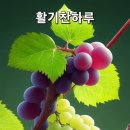 ＜08,24.주일오전예배설교＞ 신앙의 불경기를 극복하자 이미지