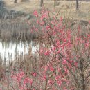 율곡천 3 이미지