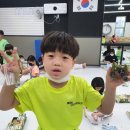 신주례태권도2 이미지