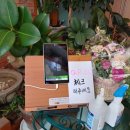 거빈식당 이미지