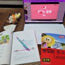 스페인어 회화 첫걸음 | 기초중국어 맛있는스쿨 반값 할인으로 시작하는 중국어회화 첫걸음 후기