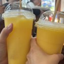 F73 | [라오스_방비엥] 맛집 카페 마사지 야시장 쇼핑리스트 추천