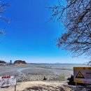 관성해수욕장 남쪽 화장실 | 기대와 현실 사이 안면암 벚꽃 여행 솔직후기｜대천해수욕장까지 이어진 봄 바다 감성 코스