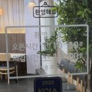 성연 | 서대문구 명지대 마라탕 성연마라탕 내돈내산 후기(꿔바로우 맛집)