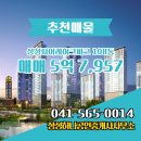 성성자이열린공인중개사사무소 | 성성하나공인중개사사무소 성성동 아파트분양권 성성자이레이크파크 매매