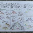 스텝커뮤니케이션 | [일본] 이시가키 스쿠버 다이빙샵, 씨프렌즈 추천 후기 (Feat. 만타 못봤어도 대만족)