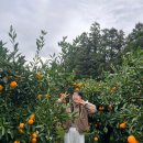 서광리-11 이미지