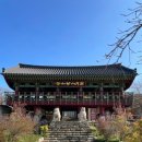 휴식 2 | 경주 템플스테이 추천｜감산사에서 보낸 1박2일 휴식형 후기