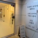 분당 속눈썹펌 유지력 최고 노글루 속눈썹펌 맛집인 버베인뷰티 / 애견동반가능🐶