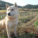 금동농장 이미지