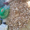 창영농장 이미지