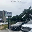 가을가족여행 영종도캠핑장 '을왕리 솔트 캠핑장' D구역 후기!