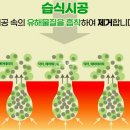 롯데캐슬 드메르 입주 전 필독! 눈 따가운 새집냄새제거 '습식베이크아웃'이 답인 이유