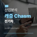 전기차 캐즘이란? 삼성SDI·LG엔솔 과거 주가 하락 이유