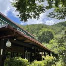 농월초계탕 이미지