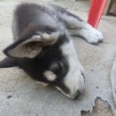 숙희농장 이미지