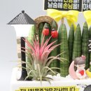 가로등노래연습장 네이버블로그