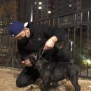 넥서스켄넬 이미지