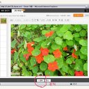 말머리는 여기있어요~,사진 올리는 방법,내 블로그가 글 아래에 보이려면?^^ 이미지
