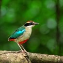 거제문화예술회관 대극장 이미지