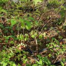 옥토상사 이미지