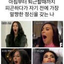 강아지사랑 이미지