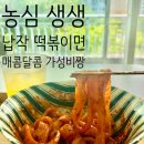 뚜뚜떡볶이 | 농심 생생 납작 떡볶이면 후기, 가성비 떡볶이 밀키트 추천