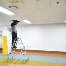 단양초등학교, 단양초교(병설유치원) 이미지