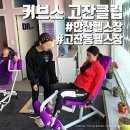 [:커브스 고잔클럽:] 여성전용 안산 헬스장 여름맞이 다이어트 하기 딱!