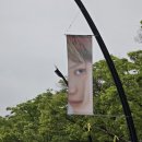 오랜만에 종교 활동 하고 왔어요 ^^ (태민 시선콘 피날레 후기)