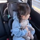 능동점 현대자동차 | 토들러주니어카시트 추천 엉뜨 가능한 카시트 폴레드 볼픽스 i-size 한 달 사용 후기