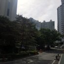 푸른공인번역행정사 이미지