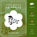 농업회사법인(주)콩세알 이미지