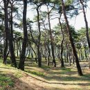 문경레저투어 이미지