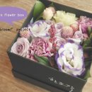 미니블룸mini_bloom