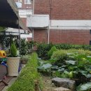 그린비브레인어린이집 이미지