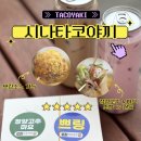 시나타코야끼