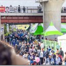 연제구 봄 축제 (온천천)_230331 이미지