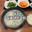 효목시장 | 대구 동구시장 일품돼지국밥 효목점 내돈내산 후기