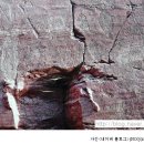 고고학적인 악수 / 박종인 이미지